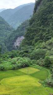 高清竖屏航拍广西靖西通灵大峡谷美景合集