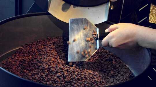 咖啡豆种植采摘生产视频素材模板下载