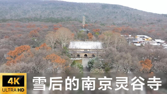 雪后的南京灵谷寺