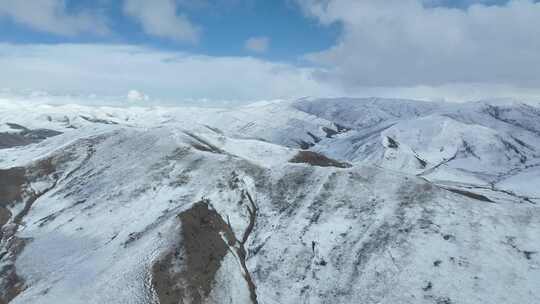 青海雪山