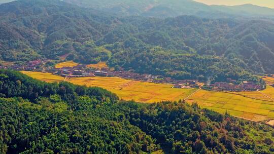 武夷山田园风光