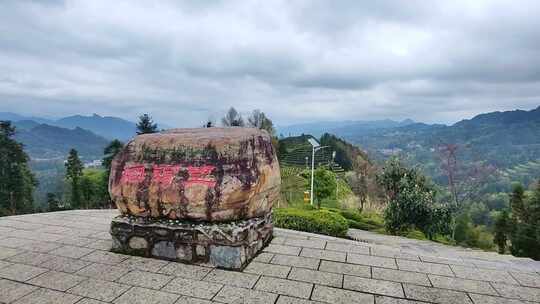 大自然茶园茶叶茶山美景景色航拍