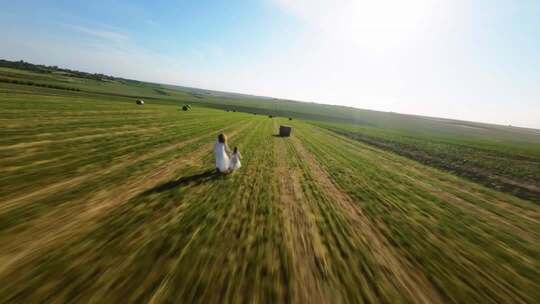 FPV穿越机航拍稻田麦田