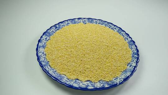 白底五谷杂粮黄金米黄米