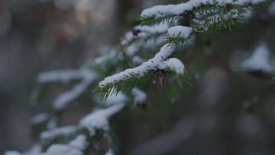 白云石，雪，冰冻，寒冷