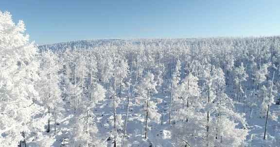 航拍内蒙古大兴安岭冰雪雾凇、雪凇