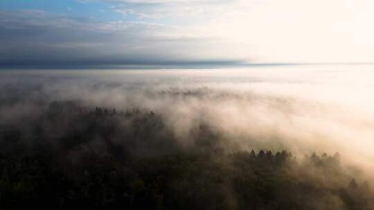 航拍被大雾笼罩的山脉森林