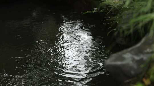 下雨天水波纹池塘水面水滴氛围中式东方禅意