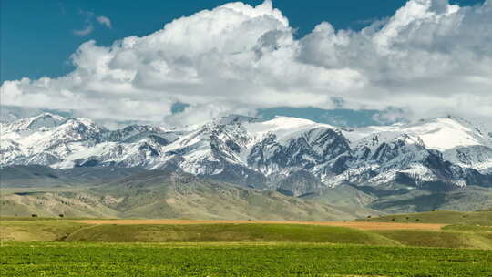 西藏 新疆 雪山 草原视频素材模板下载