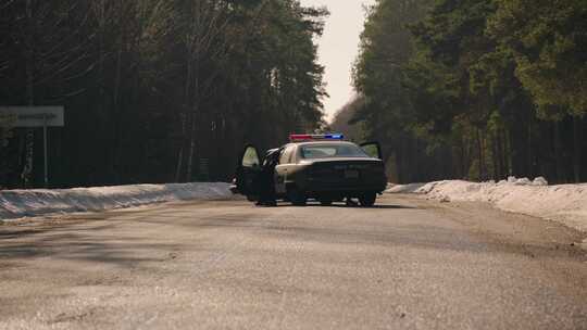 警察，追逐，超车，逮捕