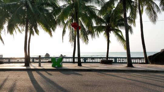 海边公路和椰子树