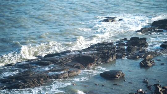 海鸥飞过礁石海边海鸟海水拍打礁石浪花海浪