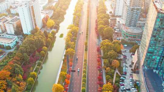 秋天城市道路秋色风景