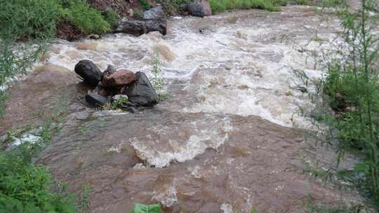 森林中 山泉小溪水