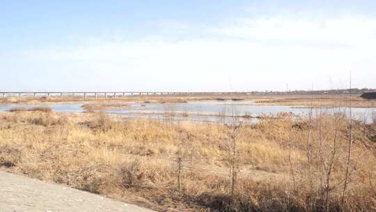 芦苇 湿地 空地 草 芦叶 水 湿地园