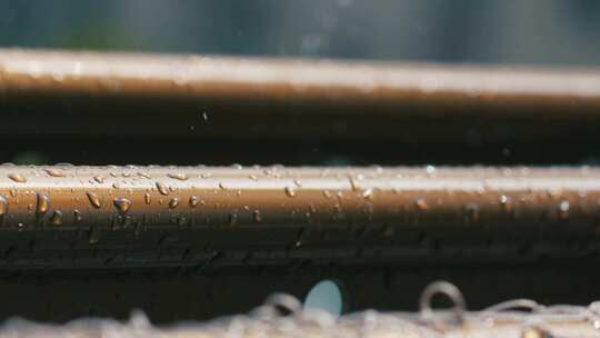 大雨滂沱落在暴雨树木和衣架上