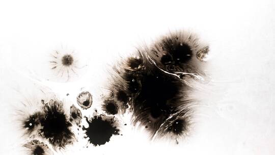 4k水墨扩散飞溅泼墨滴落视频素材 (110)