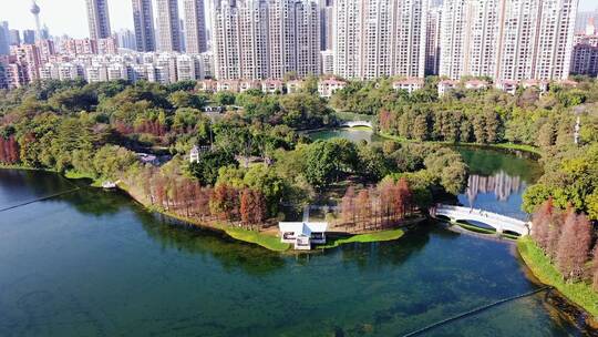 佛山地标CBD亚艺公园航拍空镜头