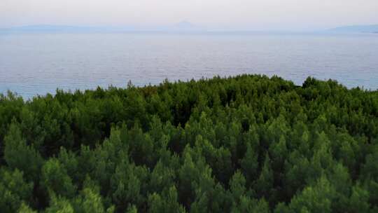 在针叶林树木上展示无人机地中海背景日落