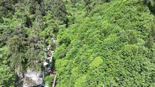 绿水青山