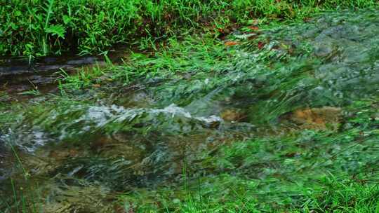 河流青草水流小河