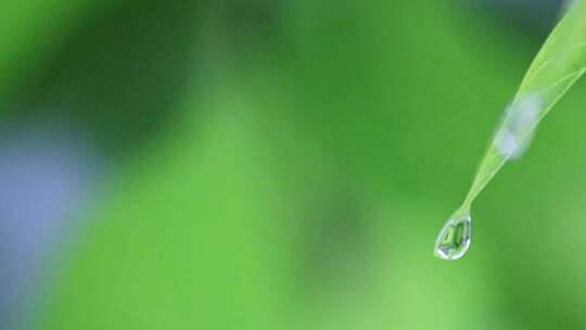 下雨 下雨天素材