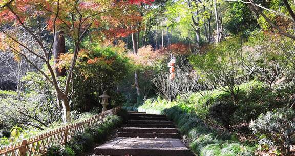 杭州永福寺红枫秋景