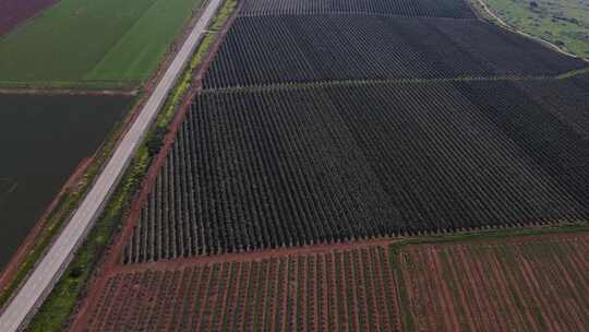 以色列、戈兰高地、梅沃哈马灌溉设备浇灌绿色大豆作物的鸟瞰图f