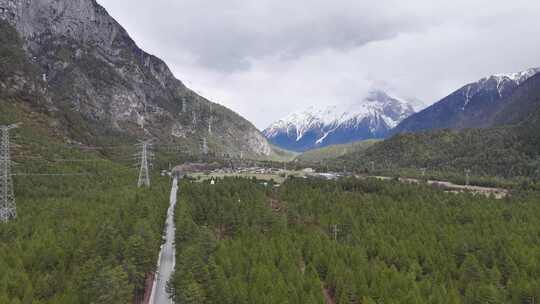 西藏旅行自然保护岗云杉林自然风光航拍视频素材模板下载