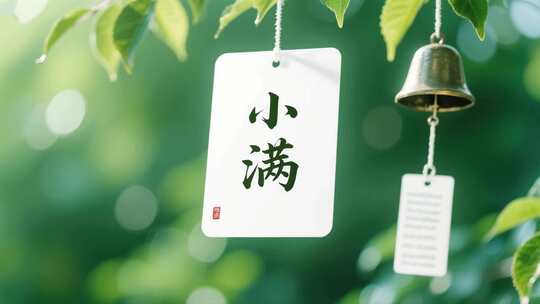 小满 小满节气 麦田 小麦 农作物 下雨