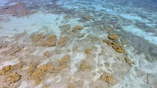 热带海岸线透明绿松石浅蓝色海洋中的白沙珊瑚礁