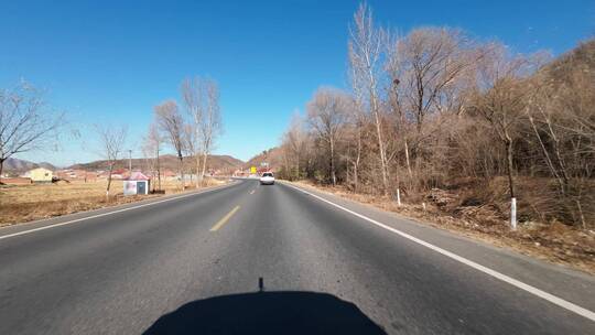 行车视角道路两侧绿化风景开车第一视角开车