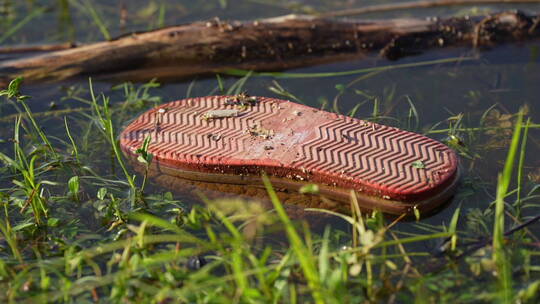 水上的废弃鞋子垃圾水污染