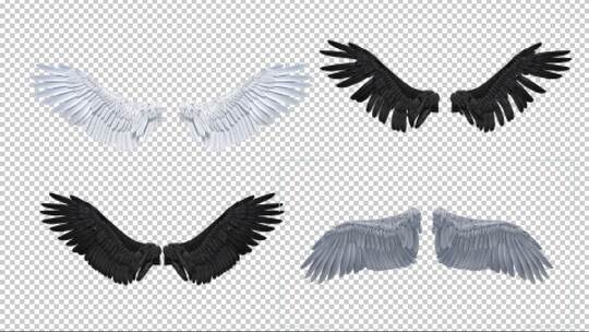 10组4K圣洁的天使白色羽毛翅膀和带透明通道