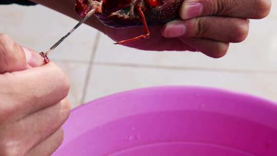 刷小龙虾 清理小龙虾 清洗小龙虾 海鲜