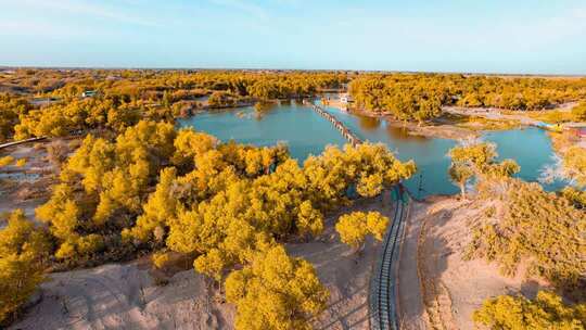 额济纳胡杨林小火车内蒙古风景秋天胡杨