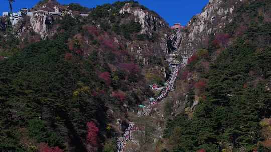 泰山对松山的秋色