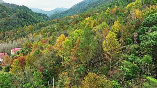 靖安隐仙谷山区