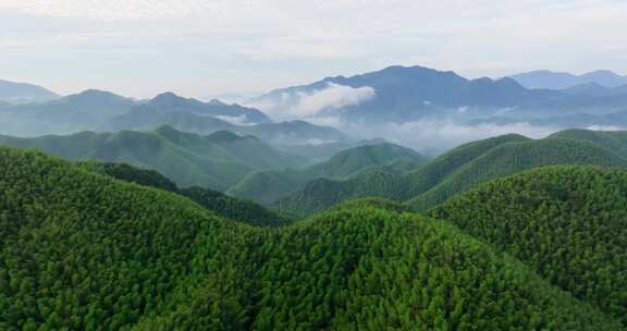 高山竹海云雾云海航拍杭州余杭百丈