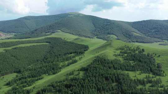 【航拍】坝上草原森林风光空镜 绿水青山