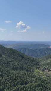 竖屏航拍山川丘陵大山山脉森林植物