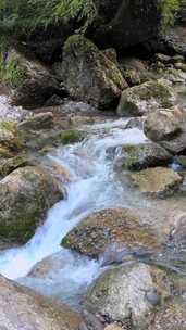 森林中山间小溪水流