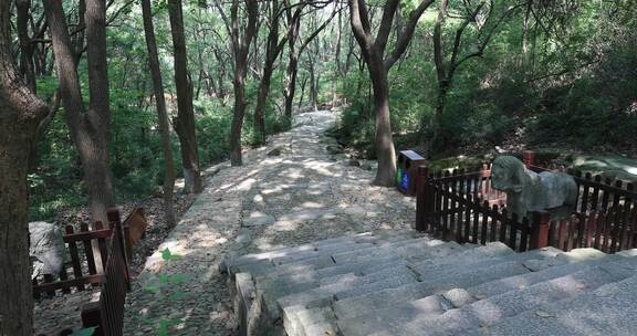 石阶 古道 山林