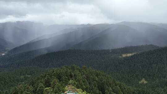 夏季航拍西藏林芝鲁朗林海暴雨来袭景观