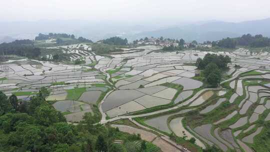 航拍贵州花溪高坡乡石门梯田-原视频