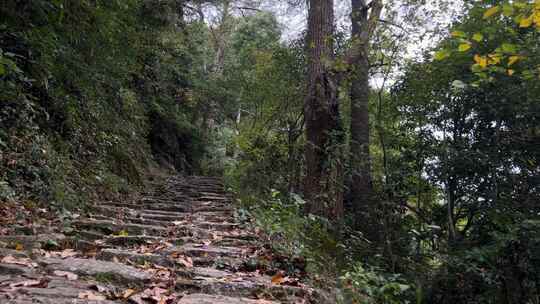 秋天里的山林古道