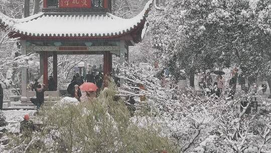 航拍城市风光长沙雪景古建筑爱晚亭雪景