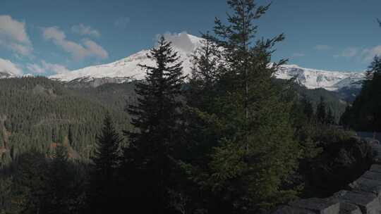 山，雪，森林，风景