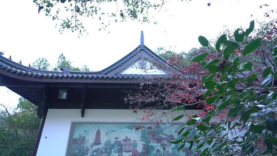 杭州九溪风景区理安寺视频素材模板下载