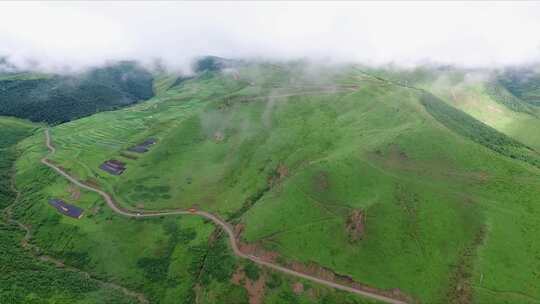 大山植被云层航拍